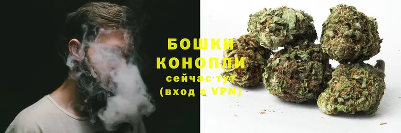 MEGA вход  сколько стоит  Адыгейск  Каннабис SATIVA & INDICA 